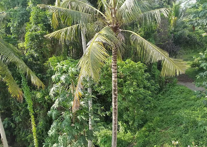 Pancoran Hostal Ubud